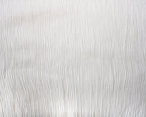 Viscose Crinkle Crepe in Cream