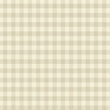 Andover QuiltEssentials Gingham Ivory by Laundry Basket Quilts