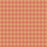 Andover QuiltEssentials Gingham Pumpkin by Laundry Basket Quilts