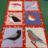 Patchwork (Intermediate/Advanced) 8 Week Course