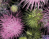 Fleece (Alpine) Fireworks in Pinks