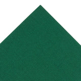 Aida Needlecraft Fabric 14 Count 30cm x 45cm Green