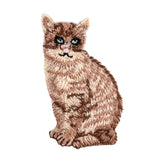 Motif - Cat
