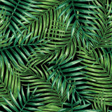 Outdoor Fabrics Chartwell Ebony (PU Coated)