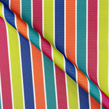 Outdoor Fabrics Bamburgh Rainbow Stripe (PU Coated)