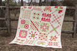 Quilting Book; Christmas Figs Block of the Month