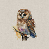 Panel (Linen Look Cotton Rich) Watercolour Owls (65)