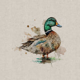 Panel (Linen Look Cotton Rich) Watercolour Ducks (64)