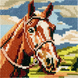 Cross Stitch Kit - Mini - Horse