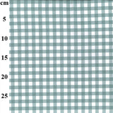 Gingham 9mm 100% Yarn Dyed Cotton in Duck Egg