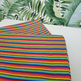 Ribbing (Tubular) Rainbow Stripe