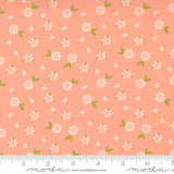 Moda Seashore Drive by Sherri & Chelsi (Cantalope Blossom)