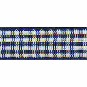 Ribbon Gingham 10mm Col 13 Navy