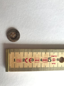 Button 15mm Round Raised Rim Wood Effect Brown